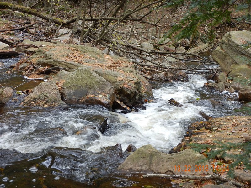 $HickoryRun027$.jpg - This hole is dry fly fishable in the late spring....Nothing hitting surface offerings this trip.