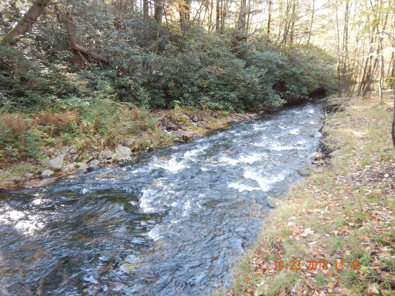 $HickoryRun035$.jpg - This is the Hickory on the way to the Lehigh.  Only got one fish in the almost 2 mile stretch.