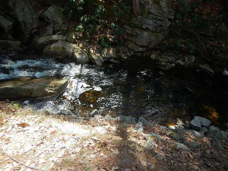 DSCN1726.jpg