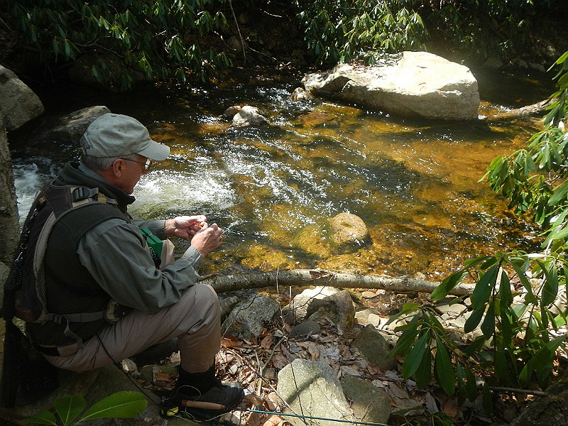 DSCN1729.jpg