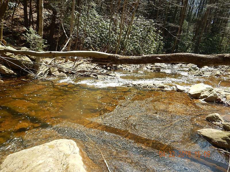 DSCN3059.jpg