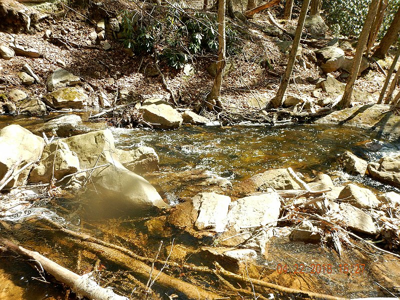 DSCN3066.jpg