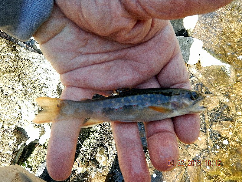 DSCN3070.jpg