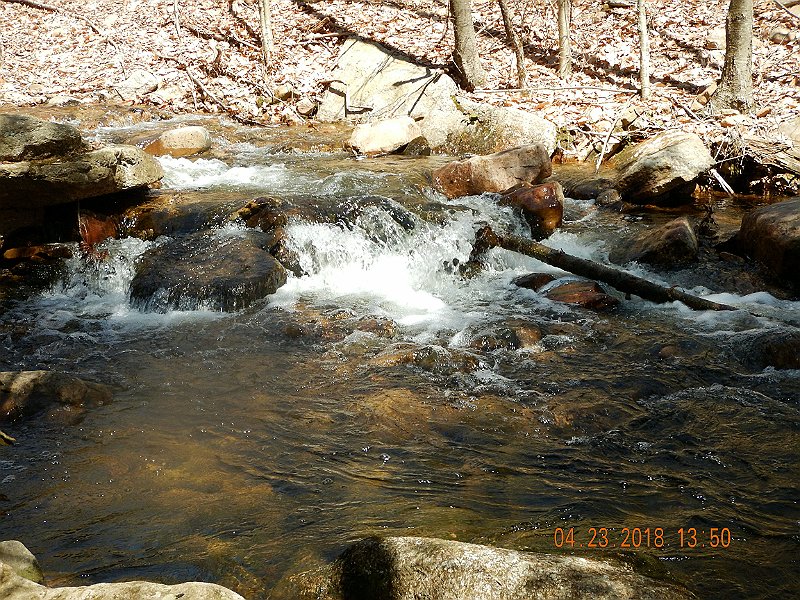 DSCN3082.jpg