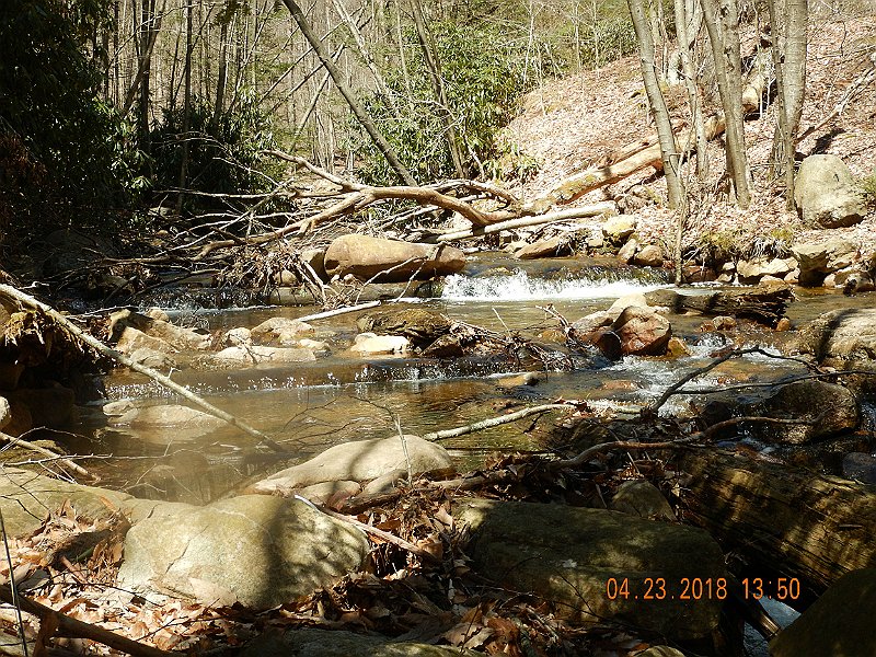 DSCN3083.jpg