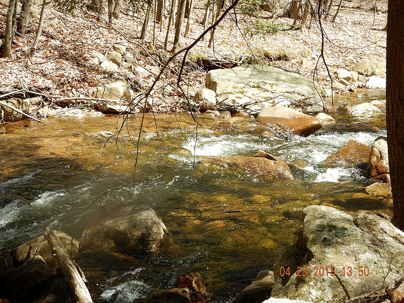 DSCN3084.jpg