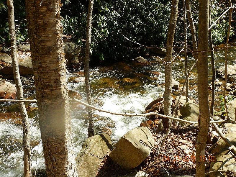 DSCN3091.jpg