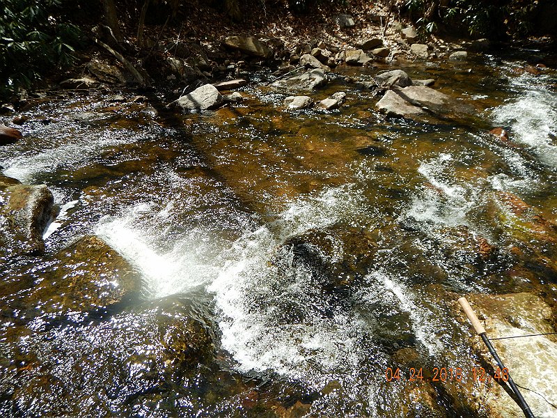 DSCN3096.jpg