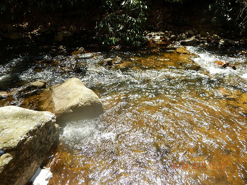 DSCN3099.jpg