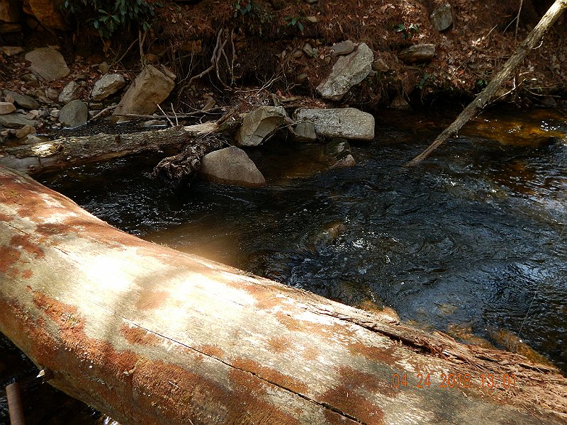 DSCN3102.jpg