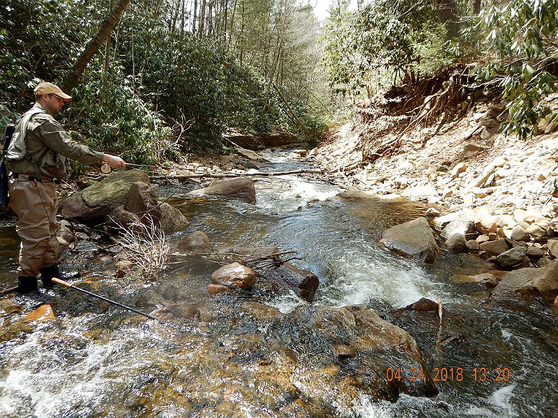 DSCN3103.jpg