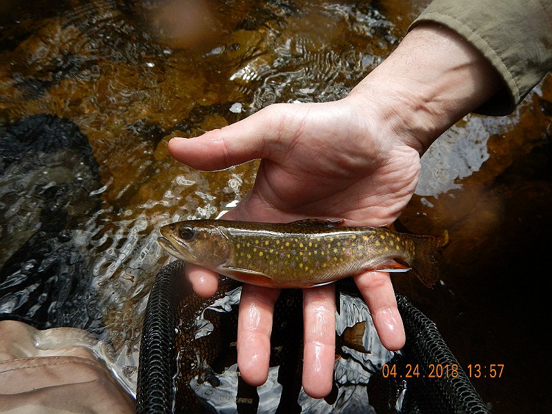 DSCN3107.jpg