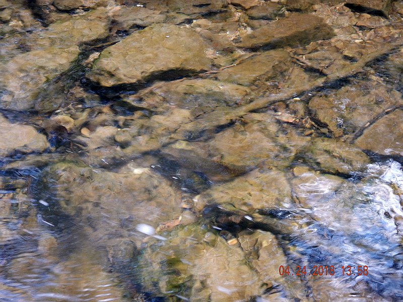 DSCN3109.jpg