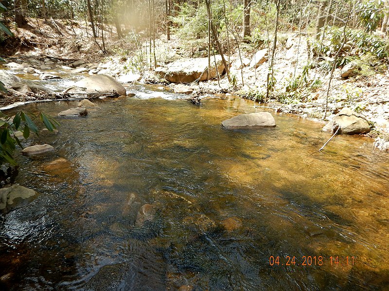 DSCN3111.jpg