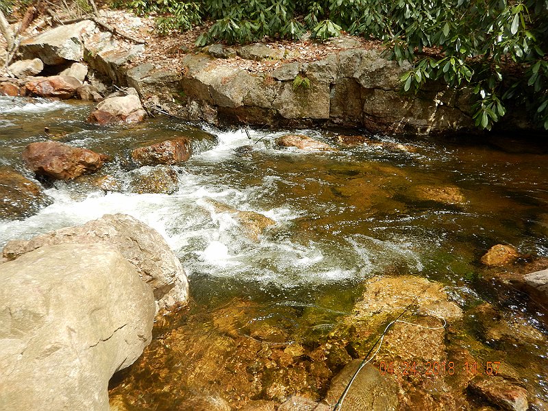 DSCN3114.jpg