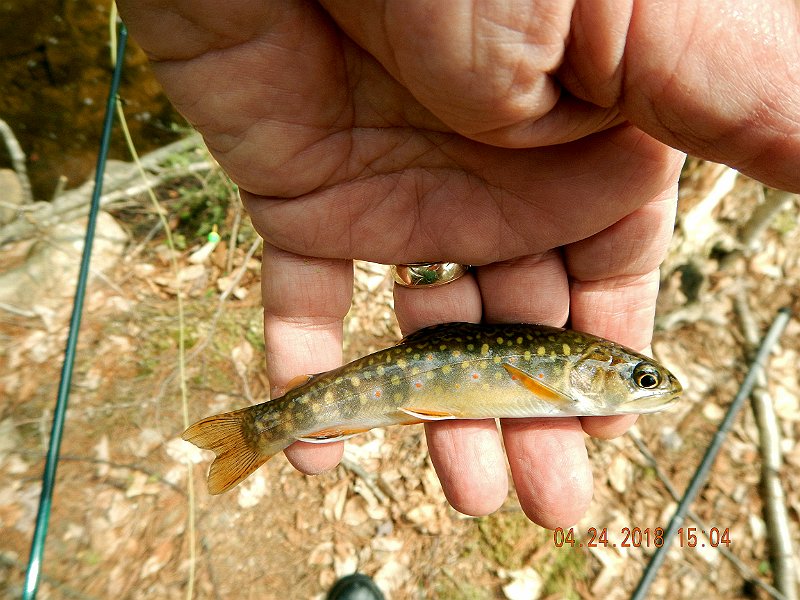 DSCN3115.jpg