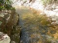 DSCN1731