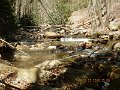 DSCN3083