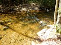 DSCN3086