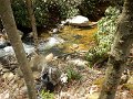 DSCN3092