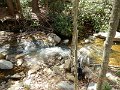 DSCN3093