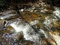 DSCN3096