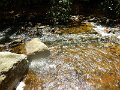DSCN3099