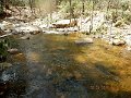 DSCN3111