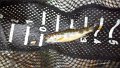 IMG_20130511_101113_524
