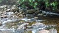 IMG_20130511_101134_357