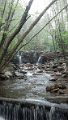 IMG_20130511_114733_920