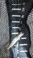 IMG_20130511_134502_803