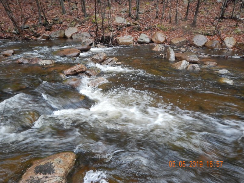 DSCN4160.JPG