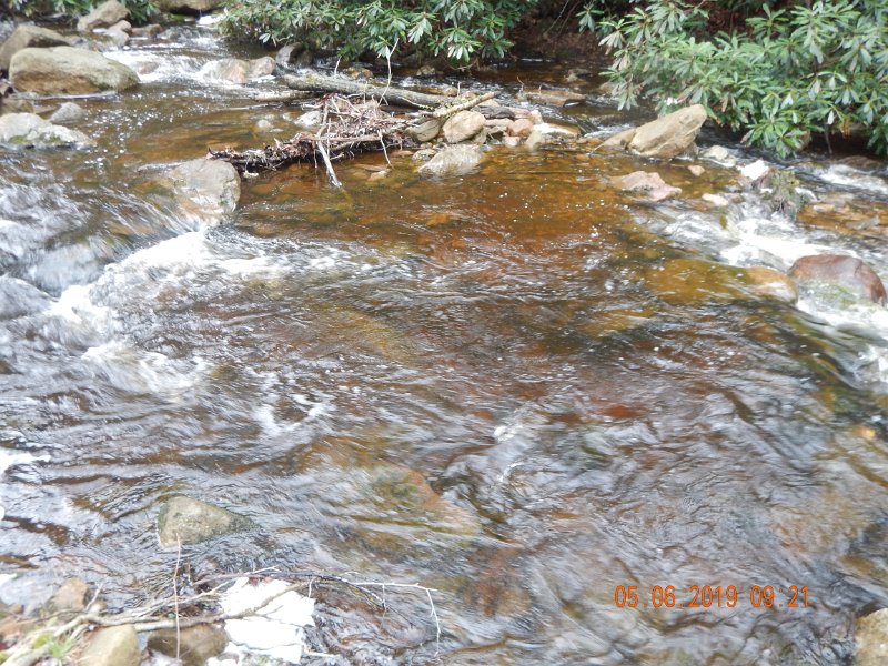 DSCN4171.JPG