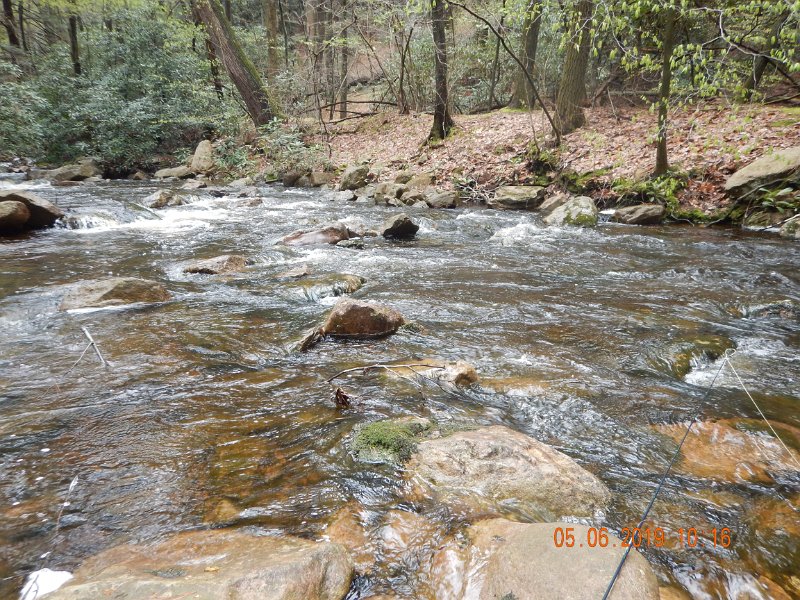 DSCN4177.JPG