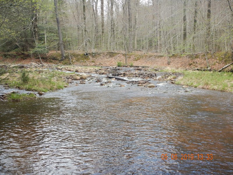 DSCN4183.JPG