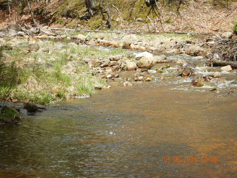 DSCN4185.JPG