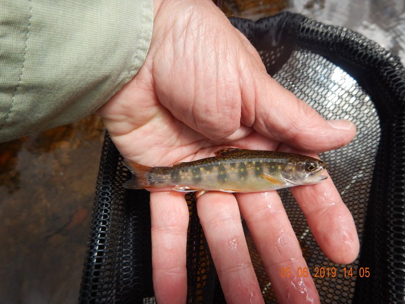 DSCN4188.JPG