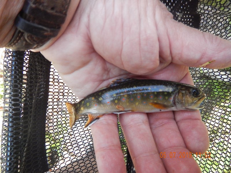 DSCN4196.JPG