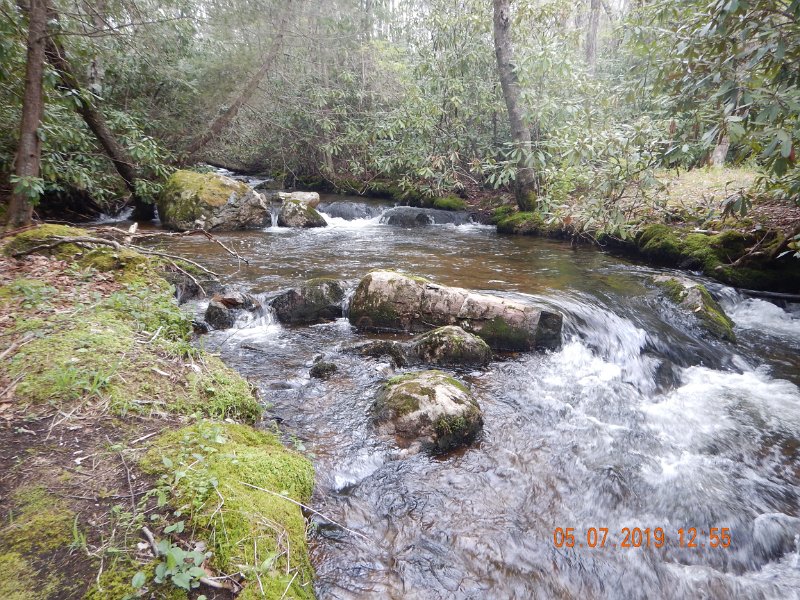 DSCN4200.JPG