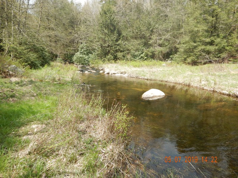 DSCN4202.JPG - This spot turned out to be amazing.  Must of missed 20 fish here and didn't take pics of all the fish I caught.  (Didn't want to waste time taking photos while the bite was on)