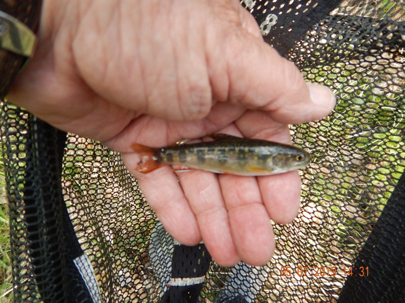 DSCN4204.JPG