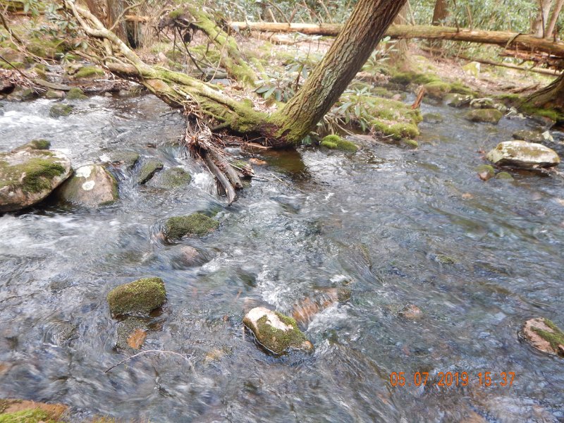 DSCN4211.JPG