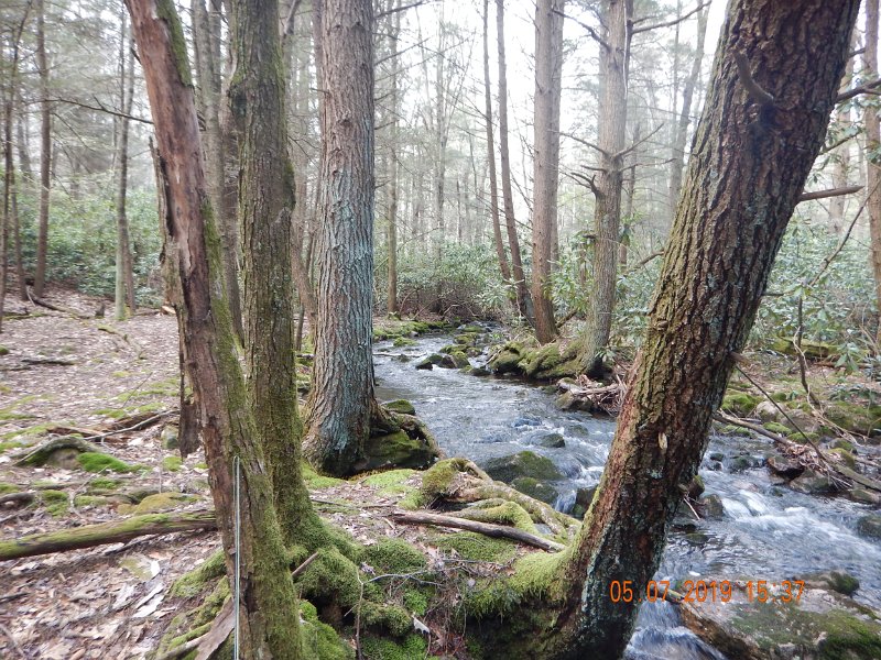 DSCN4212.JPG