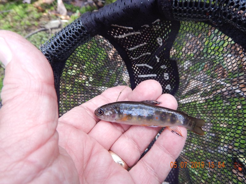 DSCN4214.JPG
