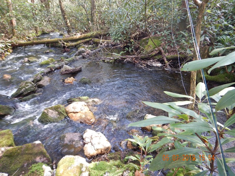 DSCN4215.JPG