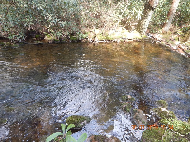DSCN4216.JPG