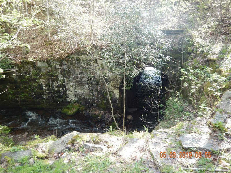 DSCN4217.JPG