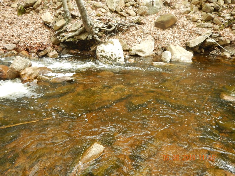 DSCN4220.JPG