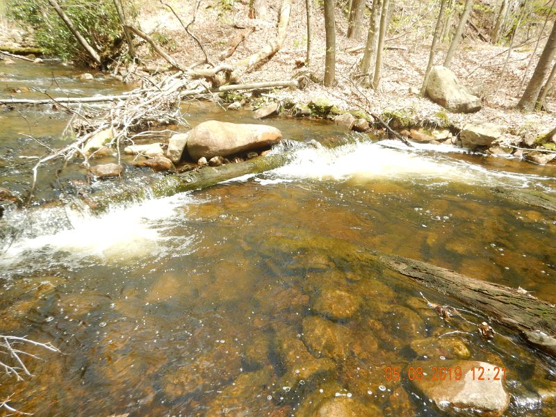 DSCN4225.JPG